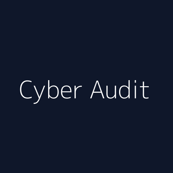 Basic Cybersecurity Audit